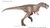 Dinosaur - Alectrosaurus olseni