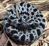 Western Pigmy Rattlesnake (Sistrurus miliarius streckeri) - Wiki