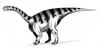 Sellosaurus - Wiki
