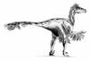 Dromaeosaurus - Wiki