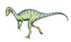 Eoraptor - Wiki