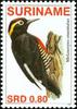Yellow-tufted Woodpecker (Melanerpes cruentatus) - Wiki