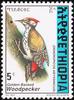 Abyssinian Woodpecker (Dendropicos abyssinicus) - Wiki