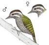 White-spotted Woodpecker (Veniliornis spilogaster) - Wiki