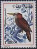 Bay Woodpecker (Blythipicus pyrrhotis) - wiki