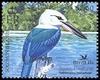 Beach Kingfisher (Todiramphus saurophaga) - wiki