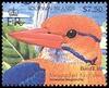 Moustached Kingfisher (Actenoides bougainvillei) - wiki