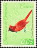 Vermilion Cardinal (Cardinalis phoeniceus) - wiki