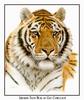 Coheleach-Guy, Siberian Tiger Head