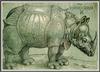 W.M. Jannsen - Rhinoceros (Art)