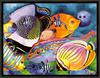 Janeen Mason - Miss Brenda's Piece (Art), Tropical Fishes