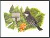 Douglas Pratt -  Eastern Kingbird (Art), Tyrannus tyrannus