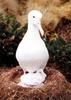 Southern Royal Albatross (Diomedea epomophora) with chick