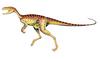 Chindesaurus - Wiki