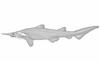 Goblin Shark (Mitsukurina owstoni) - Wiki