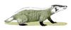 Chamitataxus avitus (Prehistoric Badger) - Wiki