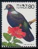 Ryukyu Wood-pigeon (Columba jouyi) - Wiki