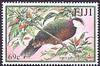 Metallic Pigeon (Columba vitiensis) - Wiki