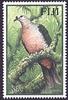 Pacific Imperial-pigeon (Ducula pacifica) - Wiki