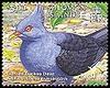 Reinwardtoena (Family: Columbidae, Cuckoo-doves) - Wiki