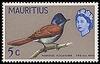 Mascarene Paradise-flycatcher (Terpsiphone bourbonnensis) - Wiki