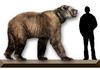 Short-faced Bear (Family: Ursidae, Genus: Arctodus) - Wiki