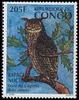 Fraser's Eagle-owl (Bubo poensis) - Wiki