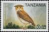 Usambara Eagle-owl (Bubo vosseleri) - Wiki