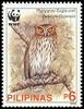 Philippine Eagle-owl (Bubo philippensis) - Wiki