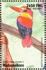 Rufous-backed Kingfisher (Ceyx rufidorsa) - Wiki