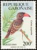 Red-billed Dwarf Hornbill (Tockus camurus) - Wiki