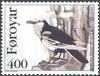 Pied Raven (Corvus corax varius) stamp