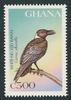 White-necked Raven (Corvus albicollis) - Wiki