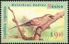 Bay-winged Cowbird (Agelaioides badius) - Wiki