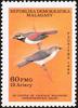 Red-tailed Vanga (Calicalicus madagascariensis) - Wiki
