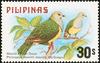 Cream-bellied Fruit-dove (Ptilinopus merrilli) - Wiki