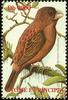 Sao Tome Grosbeak (Neospiza concolor) - Wiki