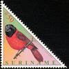 Red-and-black Grosbeak (Periporphyrus erythromelas) - Wiki