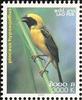 Asian Golden Weaver (Ploceus hypoxanthus) - Wiki