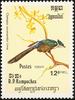Chestnut-winged Cuckoo (Clamator coromandus) - Wiki