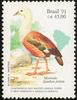 Orinoco Goose (Neochen jubata) - Wiki
