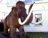 Mammoth (Genus: Mammuthus) - Wiki