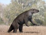 Megatherium americanum (giant ground sloth)