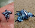 Glaucus atlanticus (blue dragon, blue sea slug)