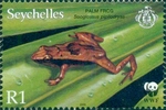 Seychelles palm frog (Sechellophryne pipilodryas)