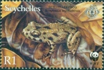 Seychelles frog (Sooglossus sechellensis)