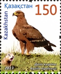 steppe eagle (Aquila nipalensis)