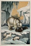 polar bear (Ursus maritimus), ribbon seal (Histriophoca fasciata), Arctic fox (Vulpes lagopus)