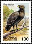 lesser spotted eagle (Clanga pomarina)
