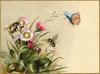 Animal Art : Butterfly and bee